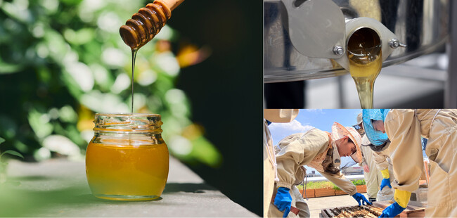 ホテル屋上での「都市養蜂」開始から5周年 今年も春はちみつを採取