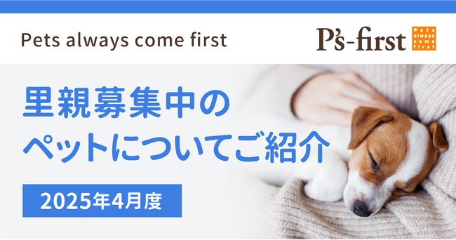 ペッツファーストグループ 里親探し活動レポート 2025年4月度