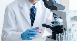 皮膚粘弾性の維持にオキシトシン受容体の増加が!? 皮膚粘弾性の維持にオキシトシン受容体の増加が!?