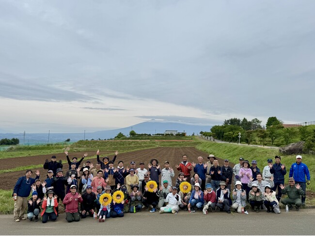 地域とサポーターで育む40万本のひまわり畑