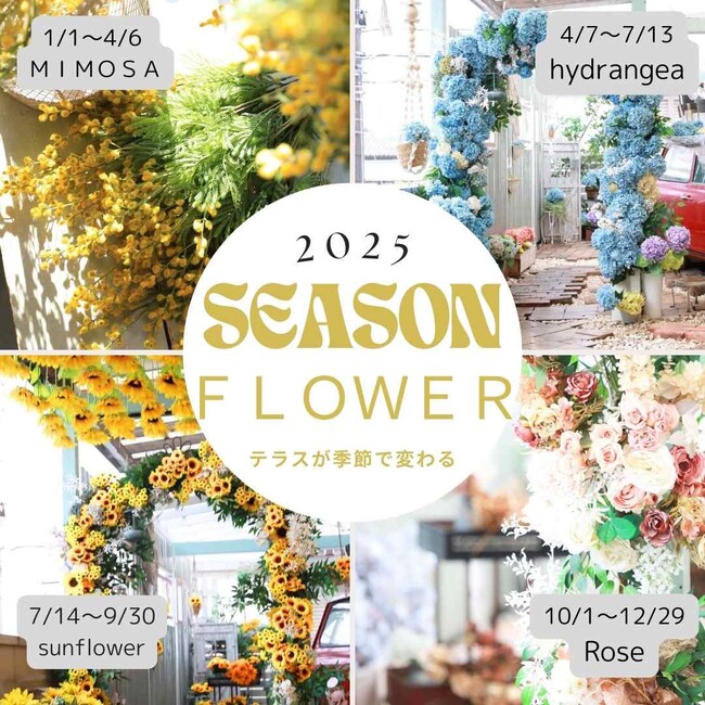 一年を彩る、花の舞台。所沢店の“シーズンフラワーテラス”2025年7月14日からはひまわりブースが始まります。