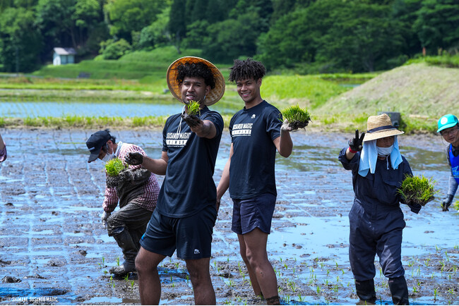 【島根スサノオマジック活動報告】横地聖真 選手＆ 介川アンソニー翔 選手が島根の大地で田植えに挑戦