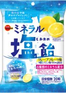 ミネラル塩飴 ミネラル塩飴