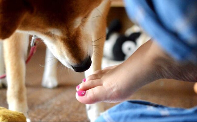 【フェムテック＆フェムケアのシックスセンスラボ株式会社の全国調査】30歳以上の女性、自分の足のニオイが気になる人はどれくらい？体のニオイ問題を根本的に解決のススメ