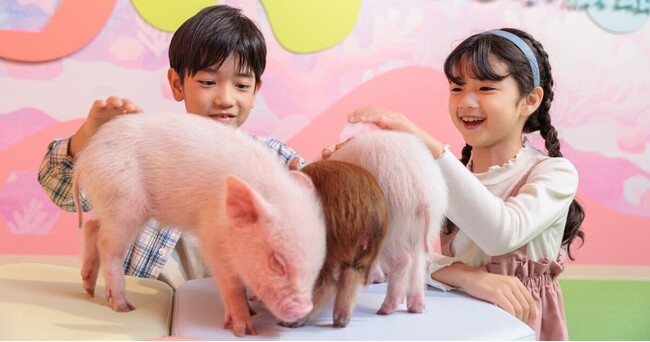 【DMMかりゆし水族館】大好評につき再開催が決定！沖縄県民向け特別割引キャンペーン「しまんちゅ割」6月1日（日）よりスタート！