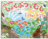 六甲高山植物園×伊丹市昆虫館夏イベント「しょくぶつとむし」開催決定！