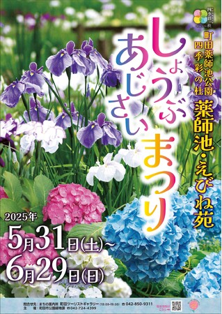 【東京都町田市】町田薬師池公園四季彩の杜「しょうぶ・あじさいまつり」を開催します