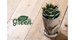インテリア・DIYパーツブランド『PLUS the green(プラスザグリーン)』から、新商品「アーバンプランツポット」が5月全国発売しました。