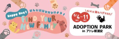 アトレ新浦安、「猫をハグする日」に合わせ「第11回 ADOPTION PARK」保護犬猫譲渡会を6月4日より期間限定開催！
