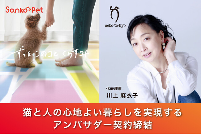 【猫と人の心地よい暮らしを実現】サンコーが川上麻衣子さんが代表を務める一般社団法人ねこと今日とアンバサダー契約を締結