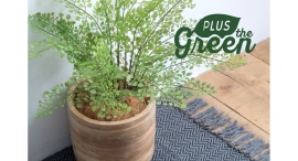 グリーン関連ブランド『PLUS the green(プラスザグリーン)』から、新商品「フェイクグリーン」が5月全国発売しました。