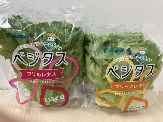 （株）ツバキベジムーブ、（株）Green Factory TFKと工場野菜の販売委託およびコンサルティング契約締結