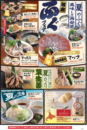 【国産ふぐフェア】夏の”ふぐ”の美味しさ再発見！季節限定メニューの販売開始！【目利きの銀次・横濱魚萬・北海道魚萬】