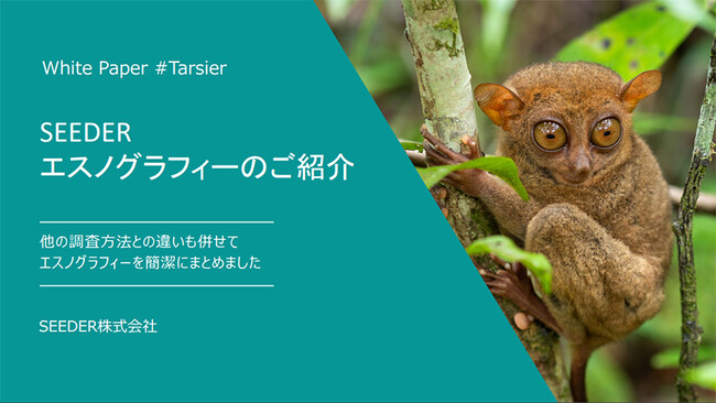 【無料DL / ホワイトペーパー】Netflix が効果を認めたマーケティング手法「エスノグラフィーのやり方」を公開