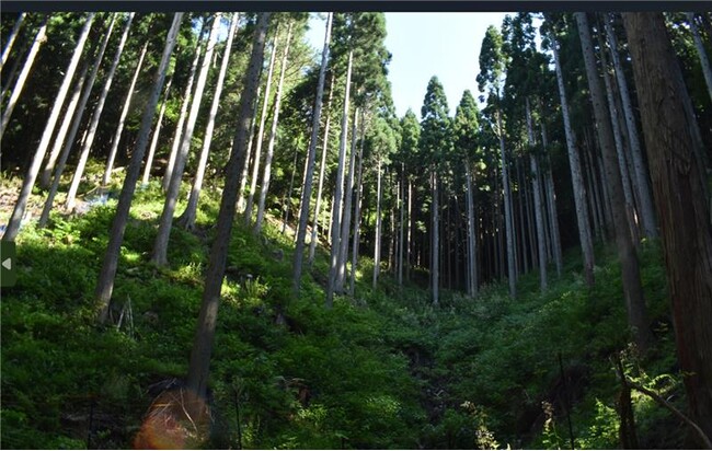 約170年以上の歴史を持つスキンケアブランド キールズ6月環境月間にサーキュラーエコノミー推進キャンペーンを開始