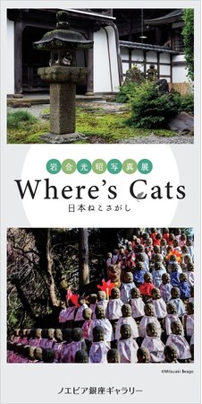 【ノエビア銀座ギャラリー】岩合光昭写真展 「Where’s Cats-日本ねこさがし」開催