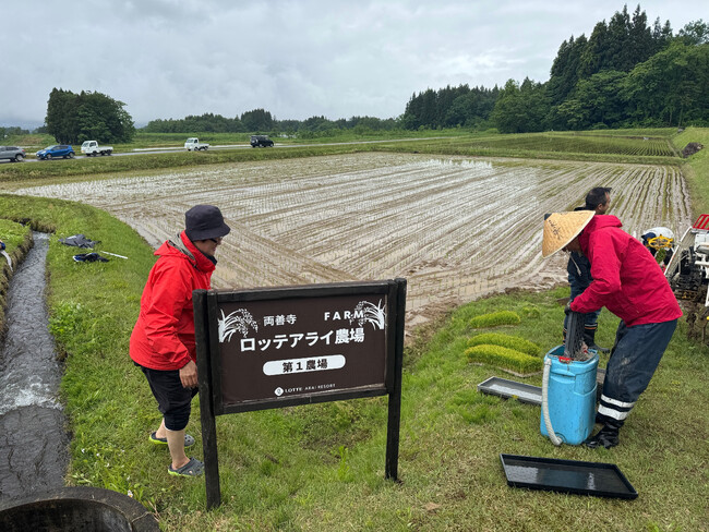 【体験プログラムレポート】『星空米 田植え体験』を盛況のうちに開催！