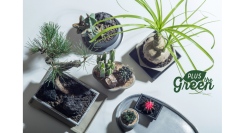グリーン関連ブランド『PLUS the green(プラスザグリーン)』から、新商品「ブルータポット」が全国発売しました。