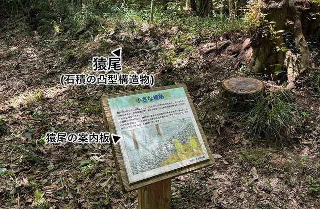 【兵庫教育大学】滋賀県東近江市で伝統的な治水施設「猿尾(さるお)」を再発見!
