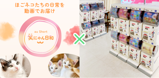 「笑にゃん日和Catchu The Future」共に生きる社会の実現へ～企業が支える持続可能などうぶつ保護の支援モデル～