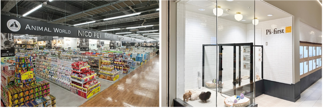 アークランズ株式会社による当社株式取得（完全子会社化）完了のお知らせ