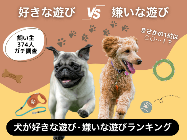 【飼い主374人に調査】犬が好きな遊び・嫌いな遊びTOP10！1位が被る、まさかの事態…！理由を徹底分析。