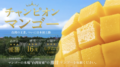 Makuakeで目標達成率2,596％！予約殺到、糖度16度超えの甘さとジューシーさをもつ台湾産「チャンピオンマンゴー」が、待望の一般販売を開始