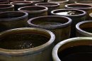 3つの要素(2)陶器のかめという「器」 3つの要素(2)陶器のかめという「器」