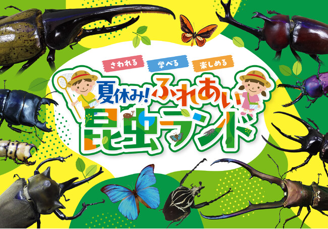 夏休みにピッタリ！　“さわれる・学べる・楽しめる 昆虫展”　「夏休み！ふれあい昆虫ランド」8月1日（金）～ 8月18日（月）星ケ丘三越