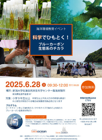 科学で読み解く、佐渡の海のチカラ -ブルーカーボンってなんだろう?