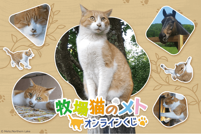 「牧場猫のメト」オンラインくじが登場！ ノーザンレイクの看板猫メトさんやパンチくんのグッズが盛りだくさん！