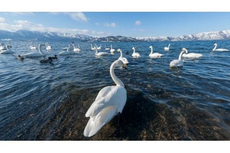 「ふるなび」で、北海道弟子屈町のふるさと納税業務代行サービスを開始。直営での業務効率化と魅力発信強化を推進。