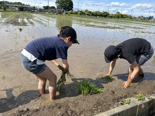 【イベントレポート】野菜にときめく、好きになる！みんなの笑顔を育んだ3年間の感謝を込めて　「深谷テラス ヤサイな仲間たちファーム 3周年感謝祭」を開催