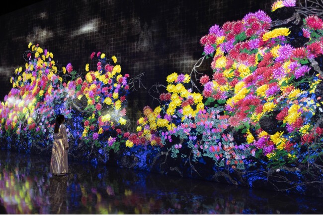 チームラボ、シンガポールの常設展「teamLab Future World」で、新たな作品を5月31日(土)より公開