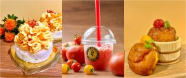 「初夏を彩る“べに花”と旬の味覚フェア」を開催 「初夏を彩る“べに花”と旬の味覚フェア」を開催