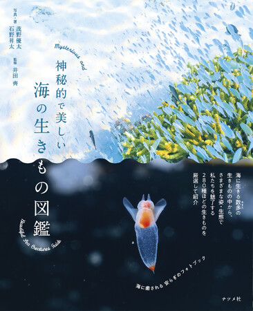 非日常の世界に浸る、大人のための癒しの図鑑『神秘的で美しい海の生きもの図鑑』が6月16日に発売！
