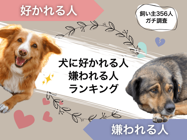 【飼い主356人に調査】犬に好かれる人・嫌われる人ランキング！モテるポイントは“ちょうどいい距離感”！
