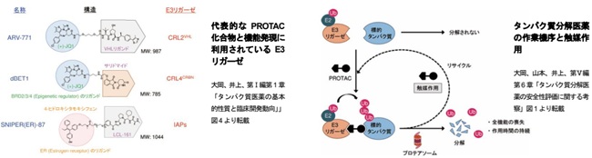 【新刊案内】タンパク質分解医薬の実用化に向けた基盤技術と評価　 監修：内藤 幹彦、井上 貴雄　 発行：（株）シーエムシー・リサーチ