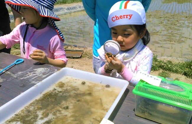 米づくりの“真髄”知ろう　佐久市で草取り体験と生き物観察　6月28日（土）〔東京〕