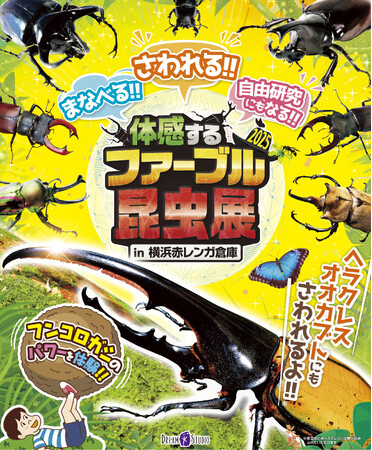 夏休みの自由研究にもぴったり！この夏は「体感するファーブル昆虫展 2025 in 横浜赤レンガ倉庫」