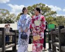 太宰府天満宮を散策 太宰府天満宮を散策