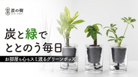 土不要！ブランド炭が水と空気のバランスを保つ。ズボラでも枯らさない新感覚グリーン