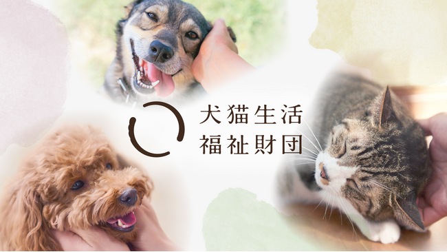【犬猫生活福祉財団】犬猫の譲渡活動等を行う保護団体へ助成金を交付　助成を希望する団体の公募を開始（6月16日～）