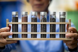 VOLTAで生産したブラックマス等