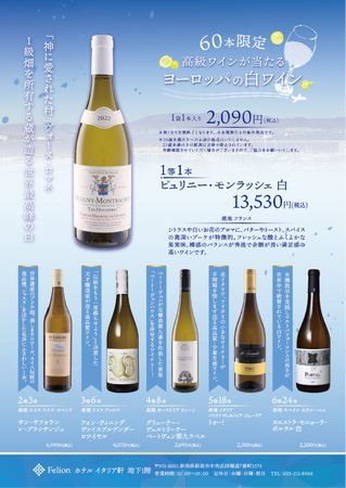 【洗練の欧×情熱の越！この夏、旅する味わいの一杯!!】ヨーロッパの白ワインお楽しみ袋＆胎内高原ビール“吟籠”