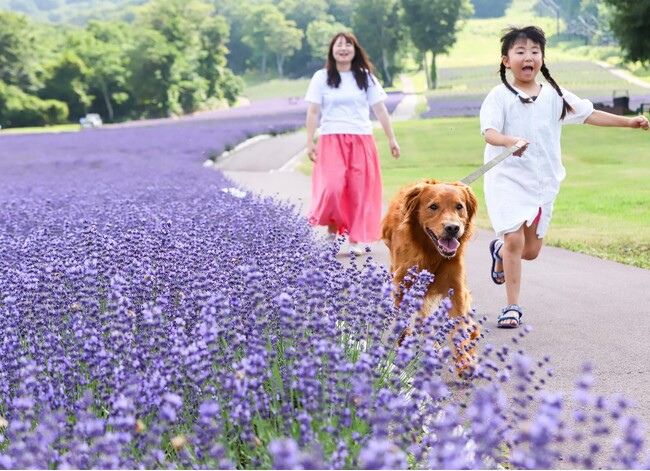 愛犬と過ごせる高原リゾート「たんばらラベンダーパーク」　　　　命をつなぐプロジェクト「おツナがり」とコラボ