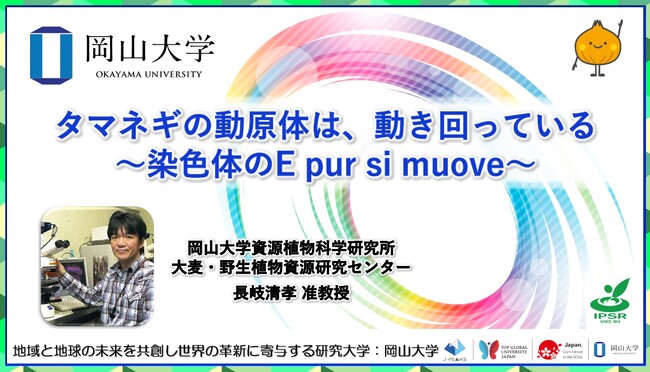 【岡山大学】タマネギの動原体は、動き回っている～染色体のE pur si muove～