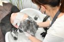 神戸ヘッドスパコース施術の様子(1)