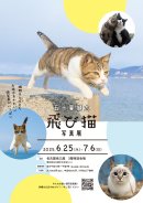 飛び猫写真展チラシ