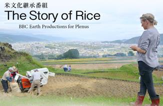 プレナス米文化継承活動 　「The Story of Rice」上映会＆「ごはんを食べて健康生活」スペシャルトークイベント